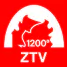 ZTV-1200_RGB_1001krep